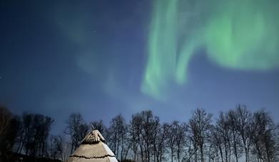 Julemarked på Olaåsen gård
