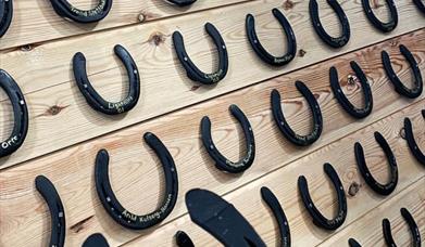 Åpen dag - Markering av nye hestesko