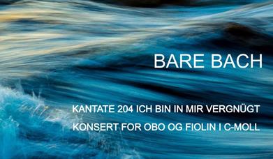 Lunsjkonsert - Bare Bach