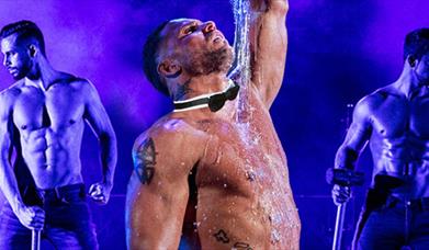 THE CHIPPENDALES Let`s misbehave