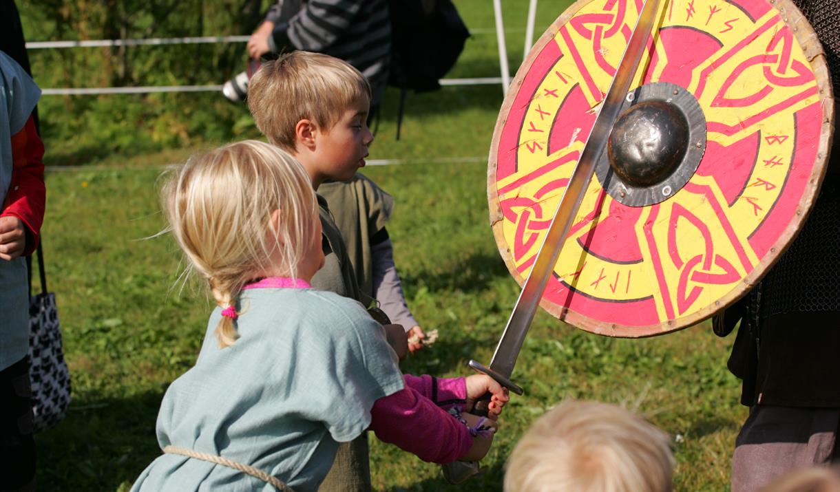 Vikingene kommer til Bjarkøy