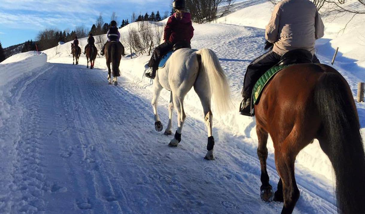 Tennvassåsen fra hesteryggen