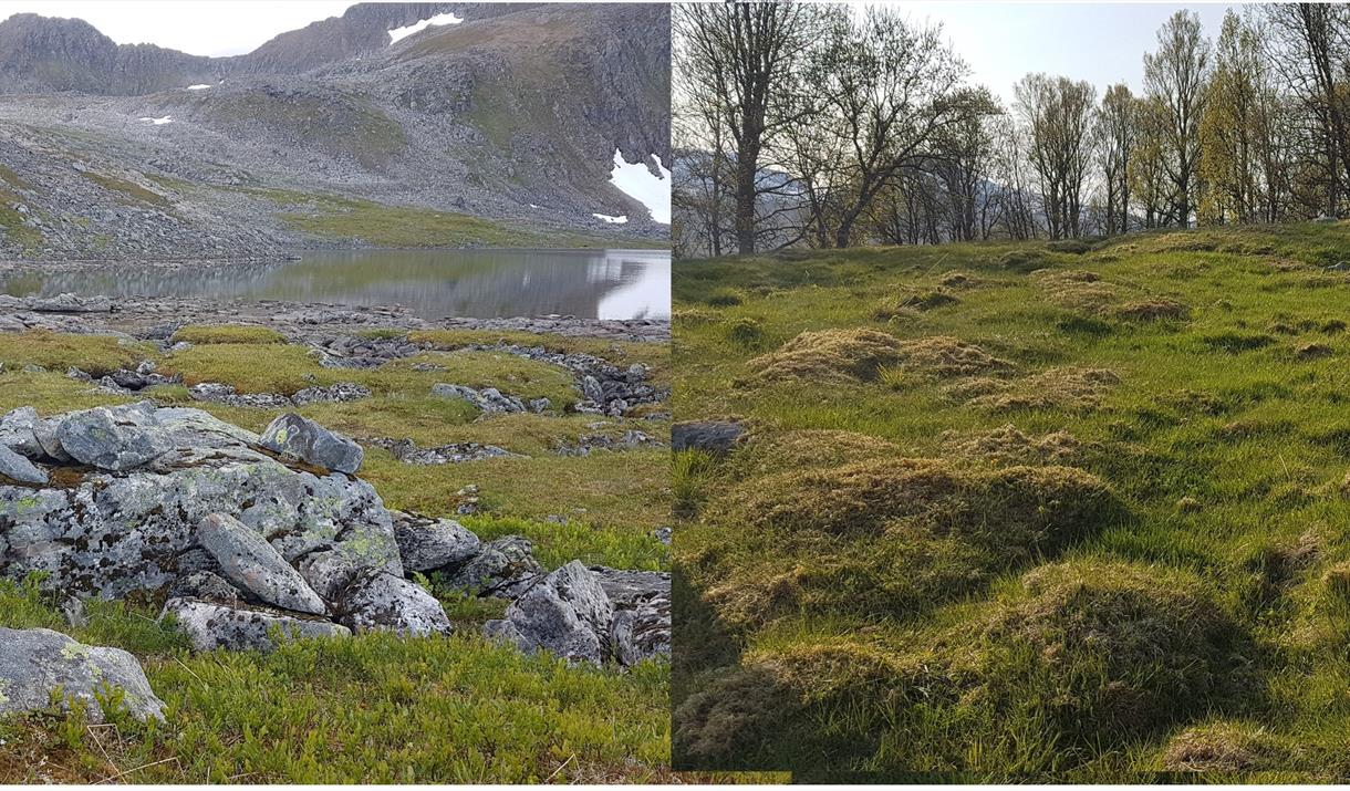 Samiske kulturminner på Storjorda og Melåfjellet