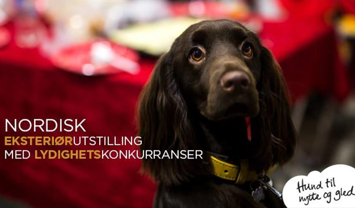 NKK Harstad 2018