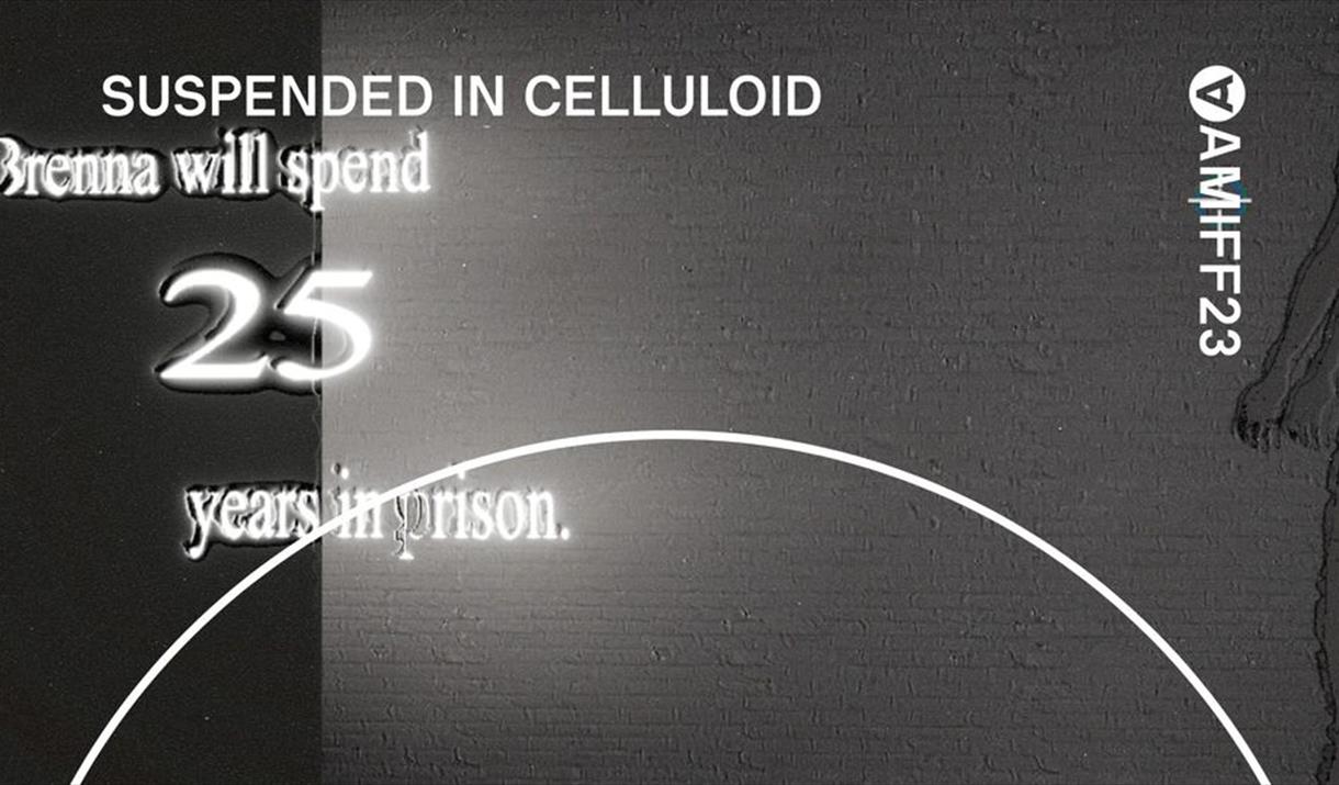 Suspended in Celluliod - ART INSTALLATION