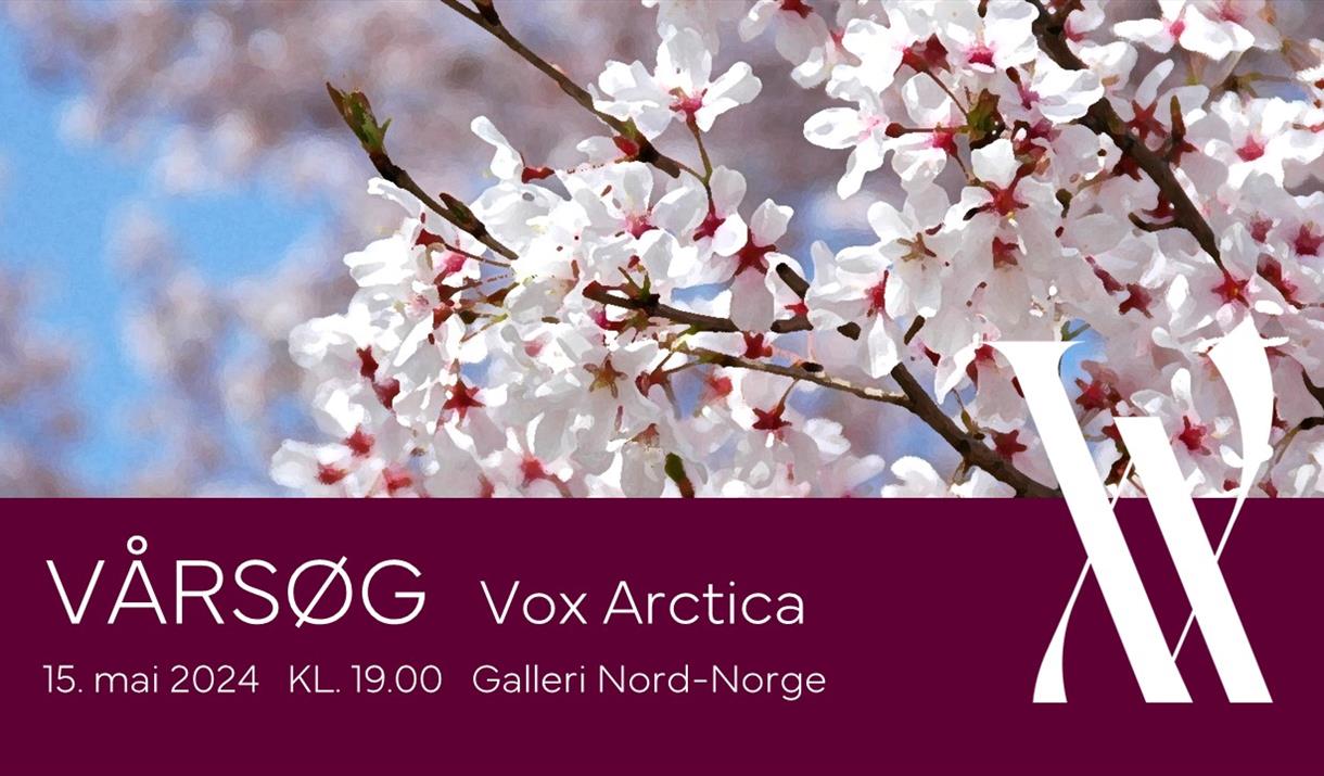Vårsøg
