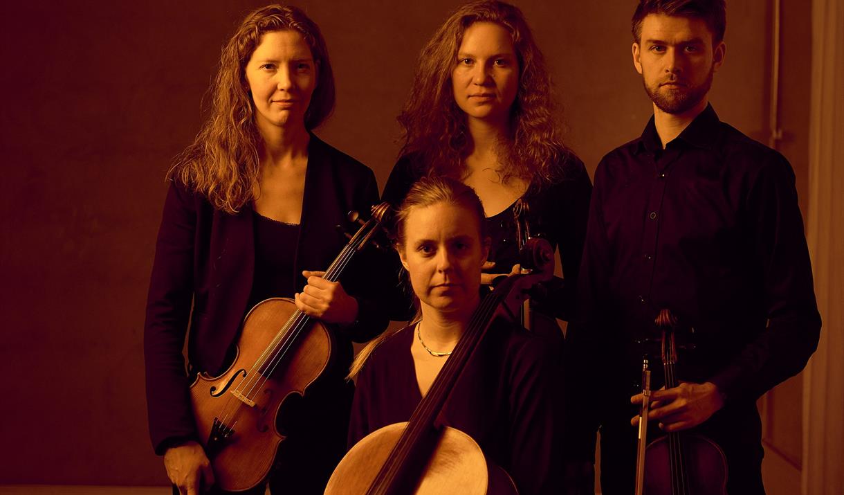 Vulkan Quartet