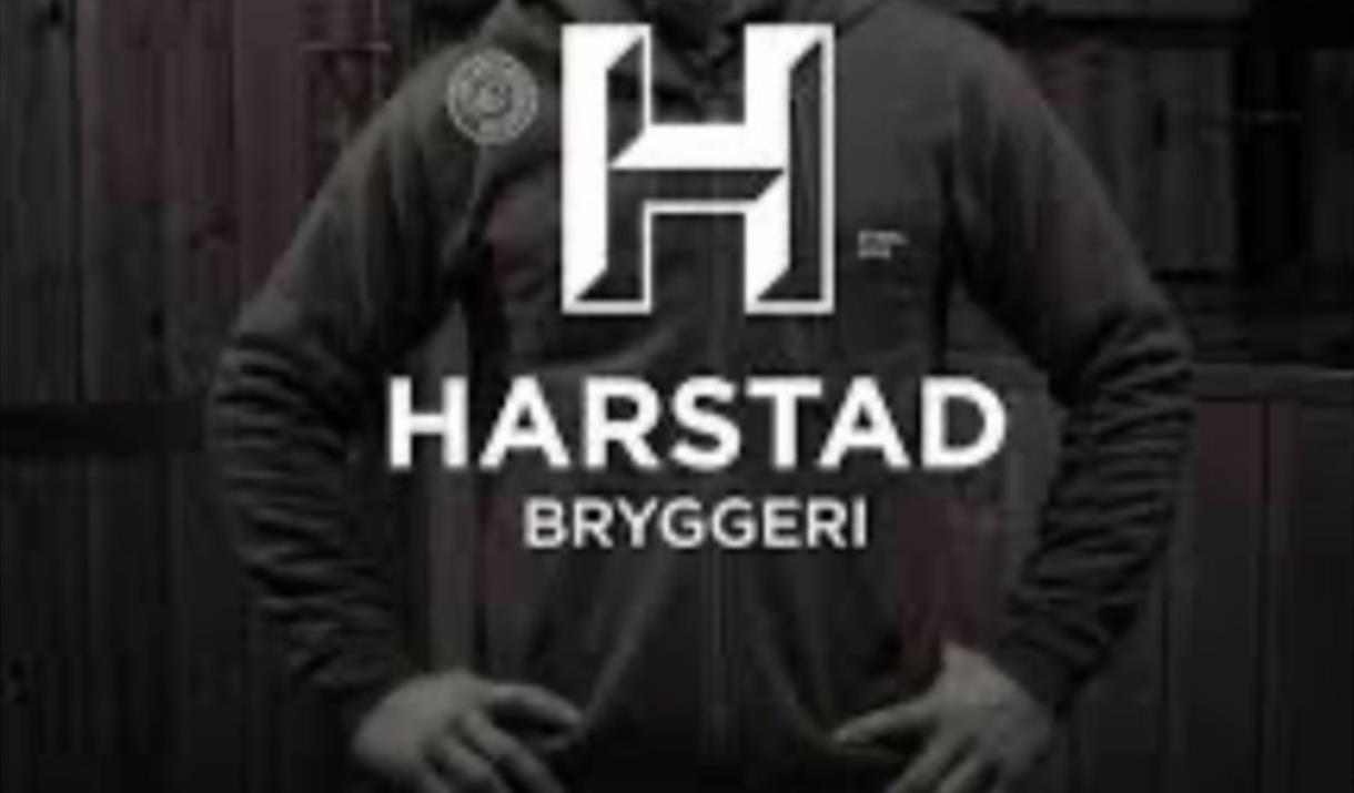 Fredagspils for Harstad 2040