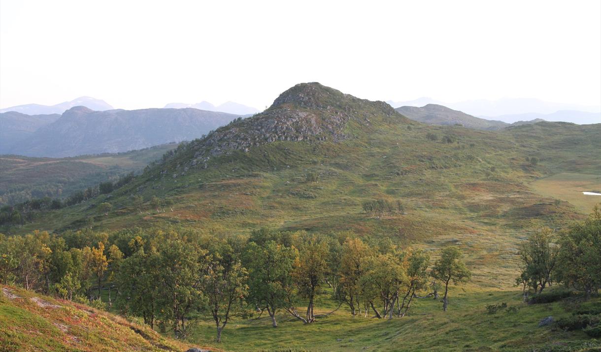 Harstad Summit Trail Marathon