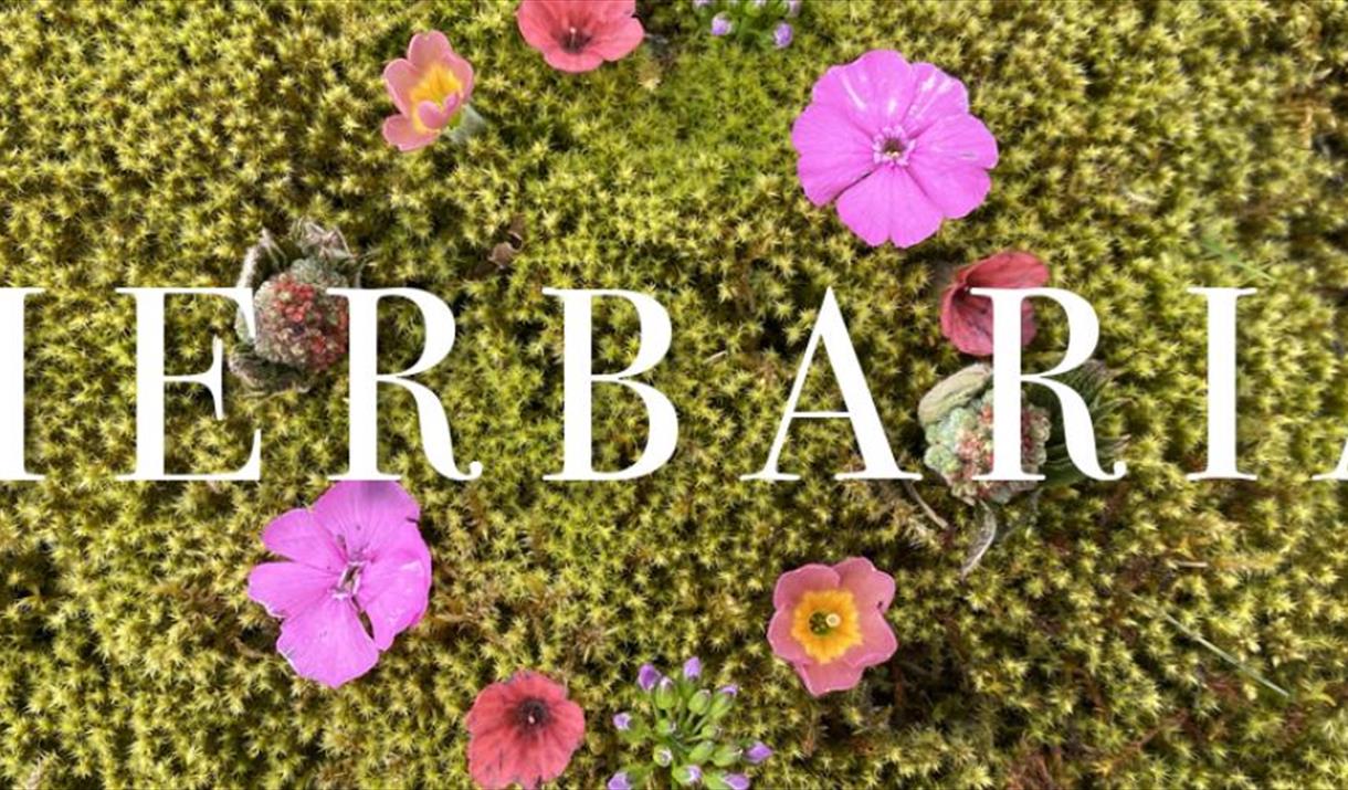 Herbaria