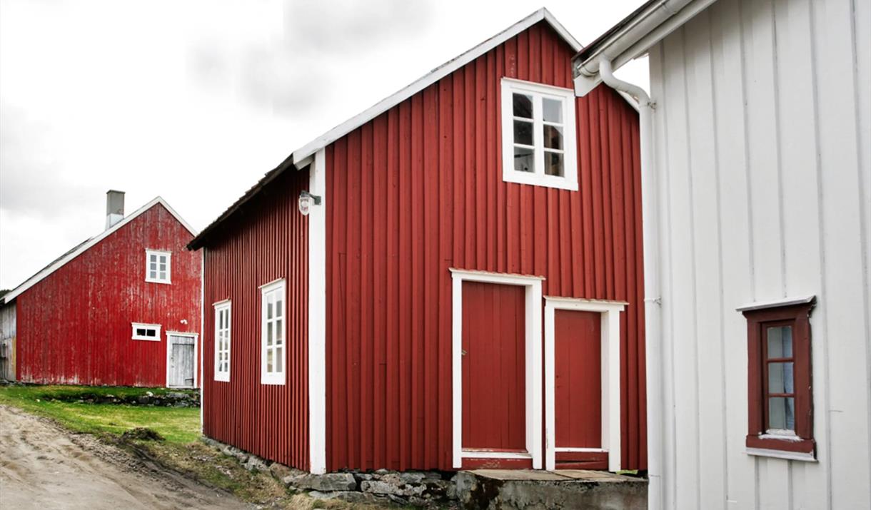 Åpen dag Steinsland Klyngetun