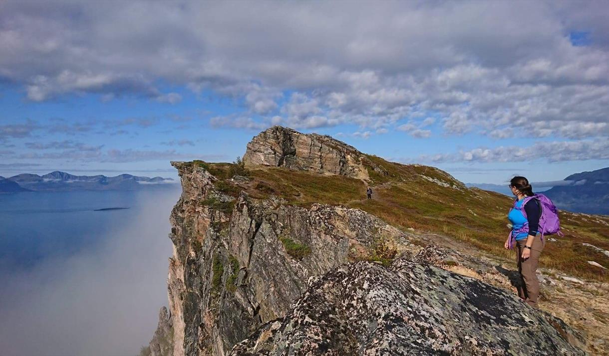 HåloGeoTour - Vikingevent