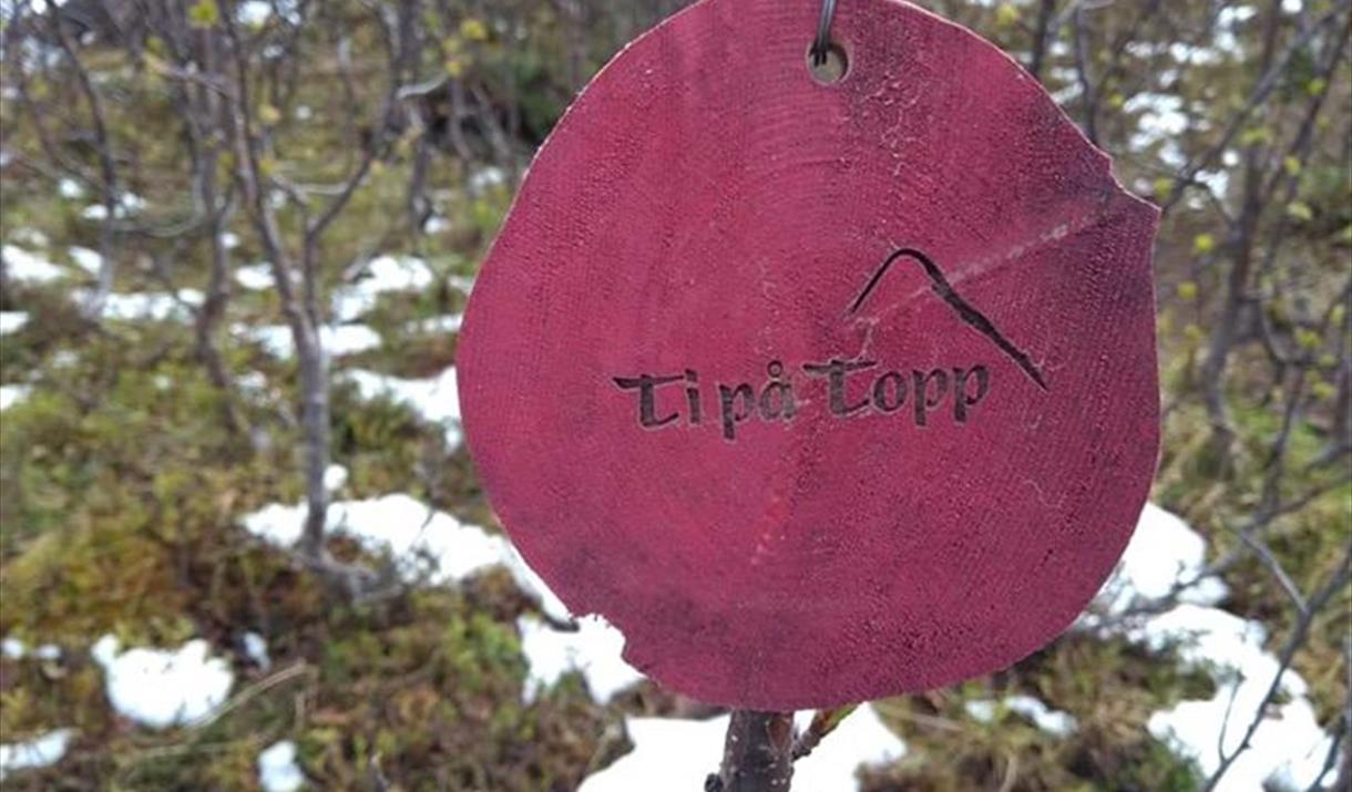 Ti på topp til Likollen