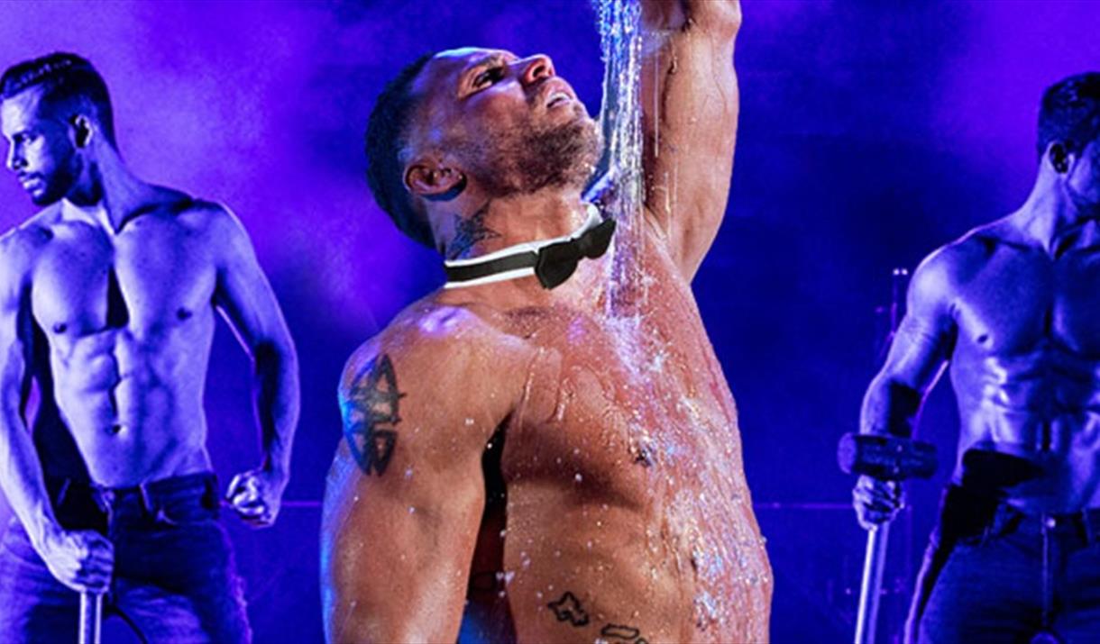 THE CHIPPENDALES Let`s misbehave