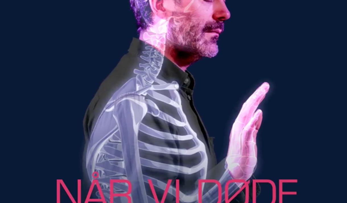 Når vi døde vågner