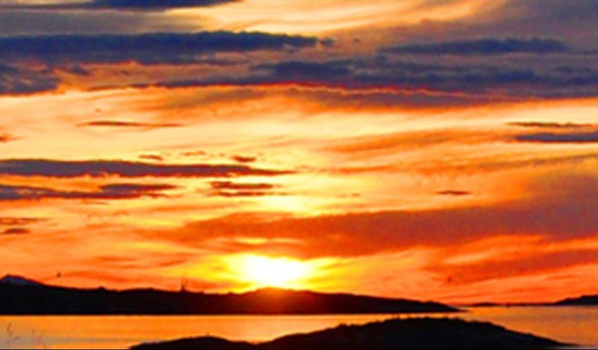 Sollunsjkonsert