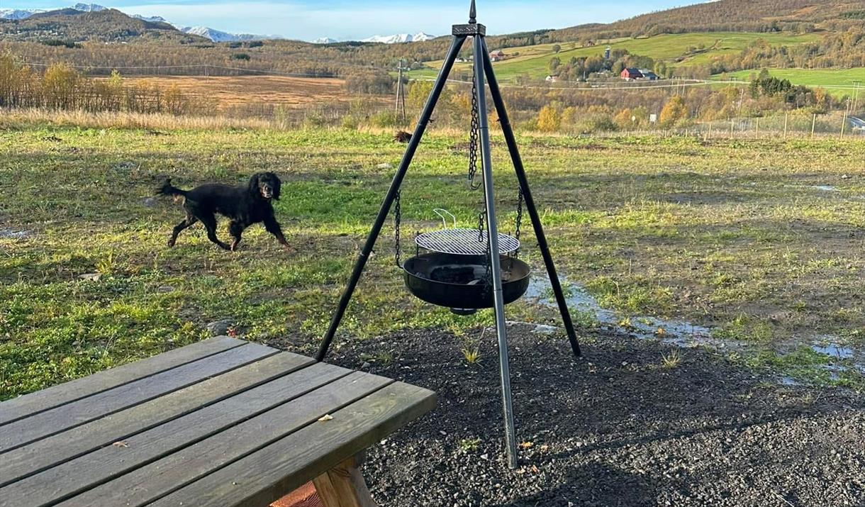Harstad hundepark