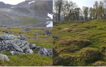 Samiske kulturminner på Storjorda og Melåfjellet
