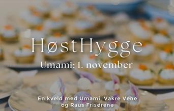 HøstHygge med Umami, Vakre Vene og Raus Frisørene