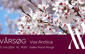Vårsøg