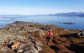 Harstad Summits Trail Marathon 2024