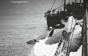 Det farlige oljeeventyret