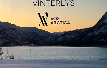 Vinterlys - Vox Arctica