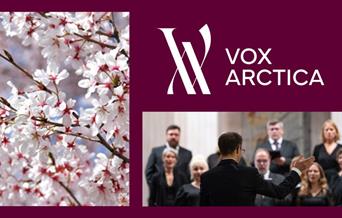 Vårkonsert Vox Arctica