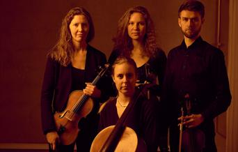 Vulkan Quartet