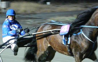 Totonor AS -Harstad Travpark