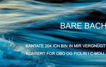 Lunsjkonsert - Bare Bach