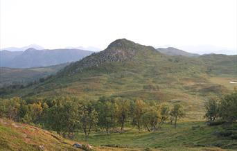 Harstad Summit Trail Marathon