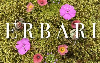 Herbaria