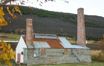 Åpen dag Skjærstad Sildoljefabrikk