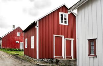 Åpen dag Steinsland Klyngetun