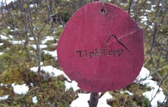 Ti på topp til Likollen