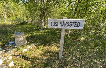 Kulturstiene og Veten på Sandsøya