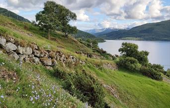 Fotefar mot nord: Skallan - Rå