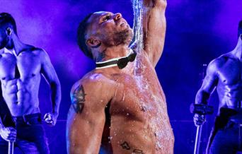 THE CHIPPENDALES Let`s misbehave