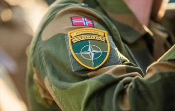 Totalberedskapskomminsjonen og totalforsvaret - bør kommunnene pg sivisamfunnet være forberedt på krig?