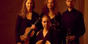 Vulkan Quartet