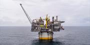 Aasta Hansteen
