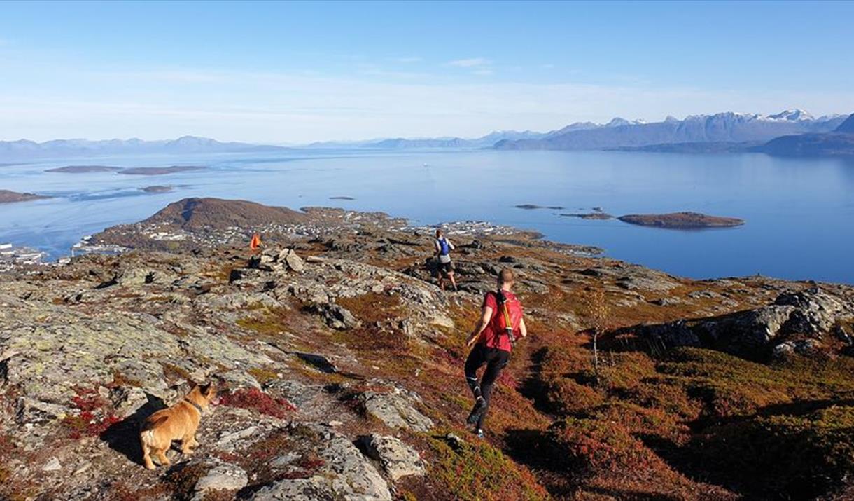 Harstad Summits Trail Marathon 2024